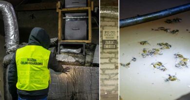 bimbrownik z gm. Mońki, musiał zakończyć swoją profesję