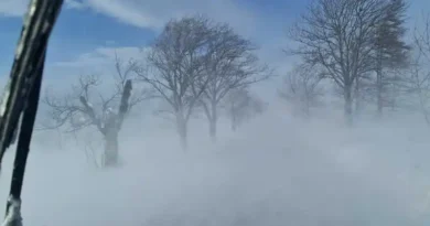 kilka osób zostało