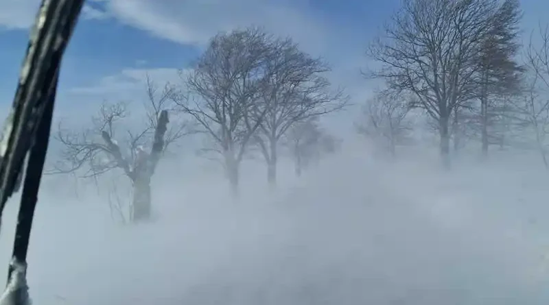 kilka osób zostało