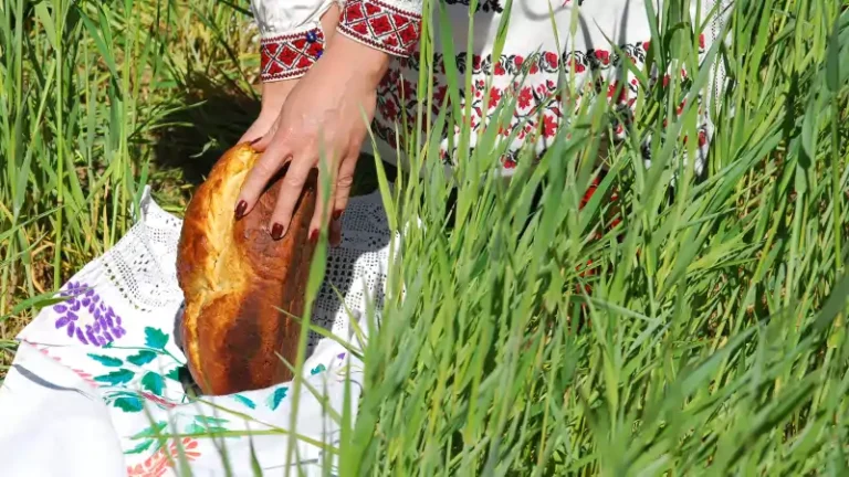 „Ręcznikowe ogrody”- to wystawa haftowanych tkanin inspirowanych naturą