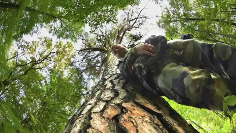 Paweł Średziński - autor trylogii „Puszcza Knyszyńska. Opowieści o lesunach, zwierzętach i królewskim lesie, a także o tajemnicach w głębi lasu skrywanych”