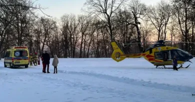 12 latek na „jabłuszku” uderzył w drzewo