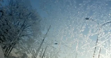 spał w wiacie śmietnikowej