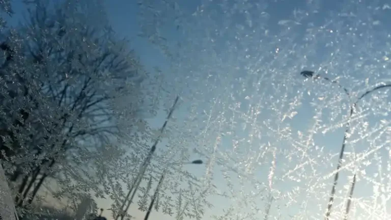 spał w wiacie śmietnikowej