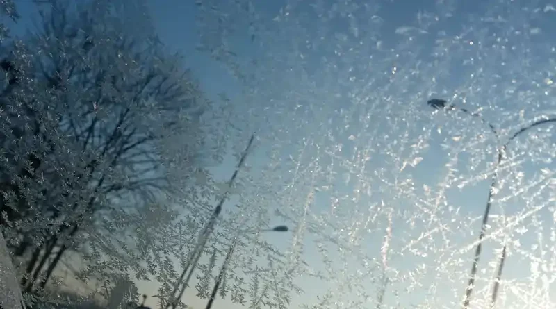 spał w wiacie śmietnikowej