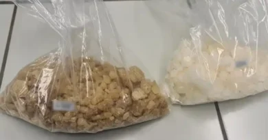 Niebezpieczny psychotrop który był ukryty w jednej z przesyłek kurierskich