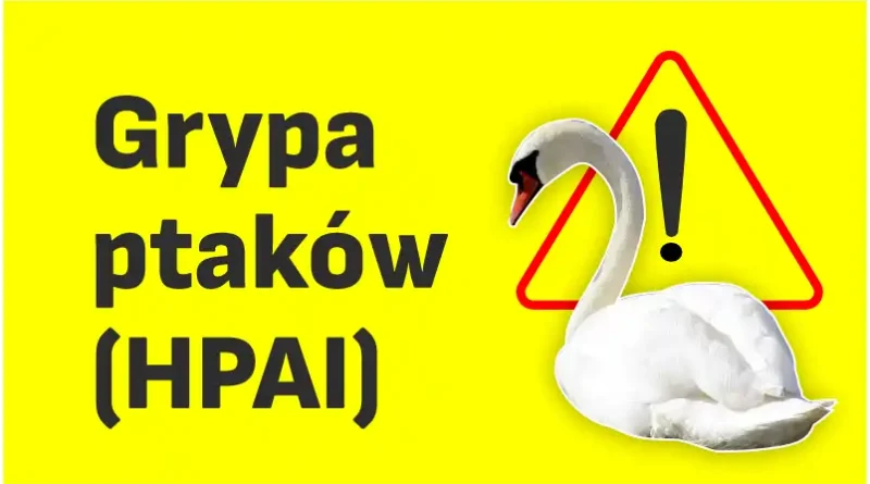 Wirus wysoce zjadliwej grypy ptaków (HPAI)