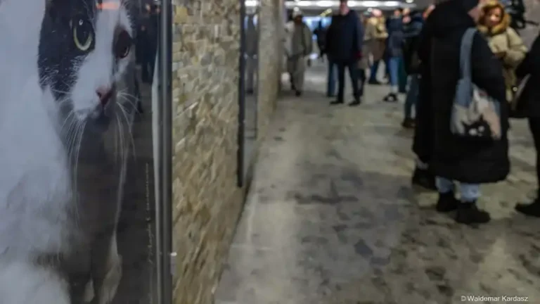 Wystawa fotografii „Podaruj sobie luksus bezwarunkowej miłości” w przejściu podziemnym na skrzyżowaniu ul. Sienkiewicza i Al. Piłsudskiego