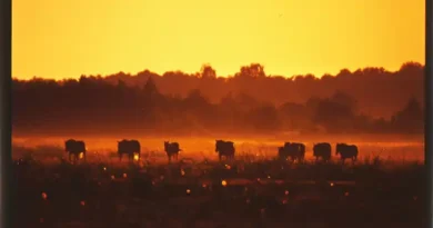 Tadeusz Twarowski, właściciel fotolabu Kodak Express gościem specjalnym Czwartków u Wiktora. Z usług fotolabu przez wiele lat korzystał Wiktor Wołkow