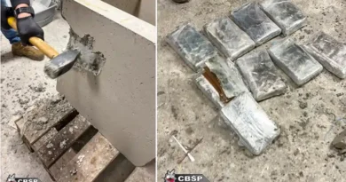 Ponad 42 kilogramy kokainy ukrytej w donicach, zabezpieczyli Funkcjonariusze CBŚP wspólnie z policjantami z KMP we Wrocławiu