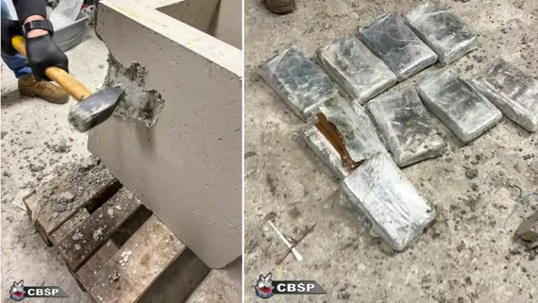 Ponad 42 kilogramy kokainy ukrytej w donicach, zabezpieczyli Funkcjonariusze CBŚP wspólnie z policjantami z KMP we Wrocławiu