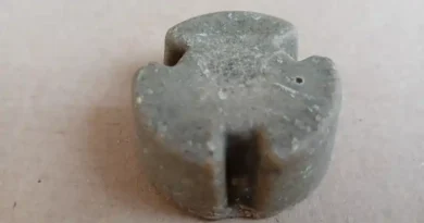 Przynęta ze szczepionką przeciwko wściekliźnie