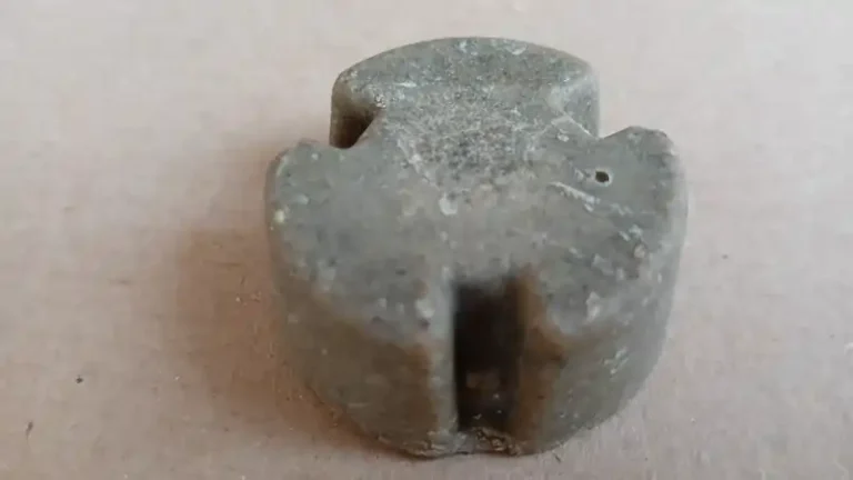 Przynęta ze szczepionką przeciwko wściekliźnie