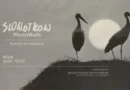 Fotospacer, który będzie spotkaniem z naturą w zwolnionym tempie