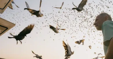 Jakub Cholewka otrzymał Grand Prix, w kat.: Cykl fotograficzny