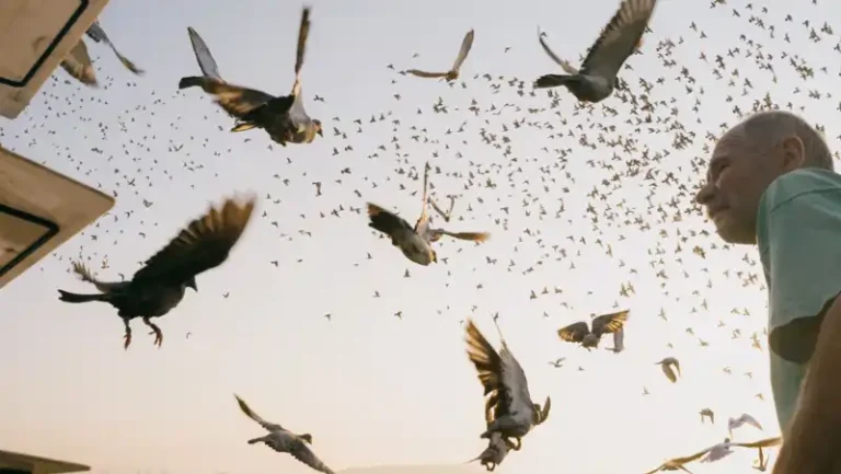 Jakub Cholewka otrzymał Grand Prix, w kat.: Cykl fotograficzny