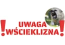 Zagrożenie wścieklizną w Białymstoku i nie tylko