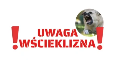 Zagrożenie wścieklizną w Białymstoku i nie tylko
