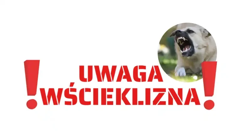 Zagrożenie wścieklizną w Białymstoku i nie tylko