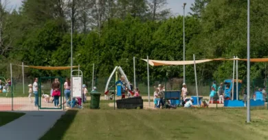 Festyny rodzinno-sportowe