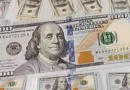 Próba nielegalnego przewozu dolarów z Białorusi do Unii Europejskiej
