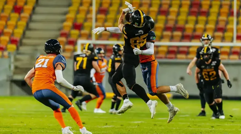 Lowlanders Białystok vs Panthers Wrocław - w niedzielę 14 czerwca na Chorten Arenie