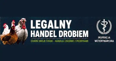 Legalny handel żywym drobiem. Ostrzeżenia dla sprzedawców