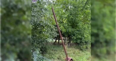 Grafika przedstawia przyspawany do ogrodzenia pręt. Nieszczęśliwy wypadek z udziałem 65-latki