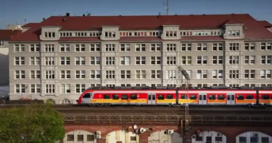 Czworonożni podopieczni w pociągu