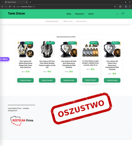 Wygląd fałszywej strony internetowej